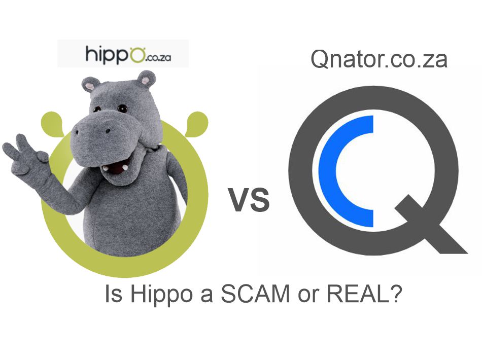 Why Qnator Is Better—and Fairer—Than Hippo.co.za