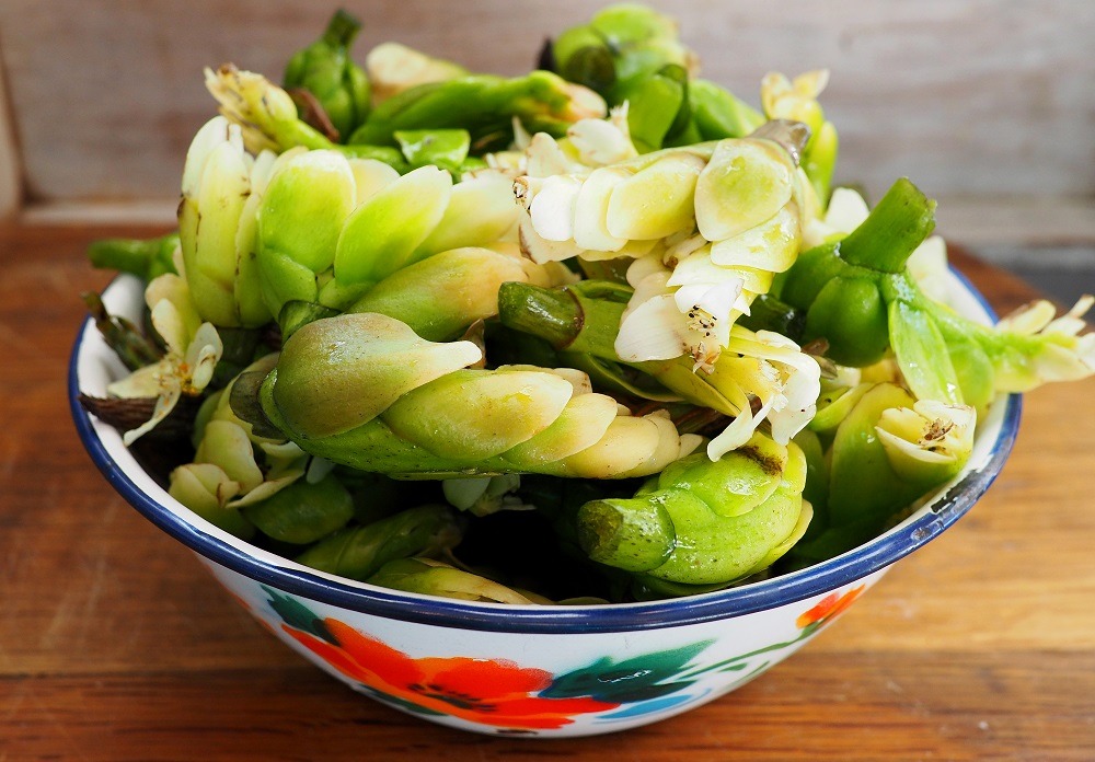 A Taste of Home: The Story of Waterblommetjiebredie