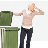 Bin Cleaning Service