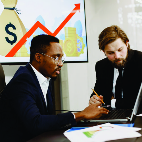 Financial consultant