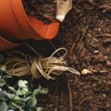 Soil, Compost & Ground Cover