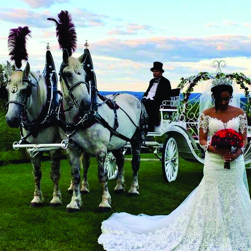 Horse & Carriage