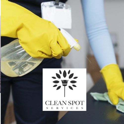Cleanspot Services